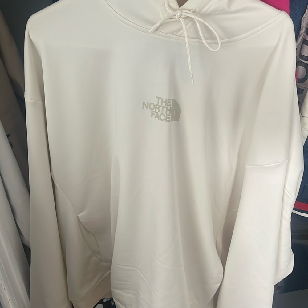 The north face hoodie